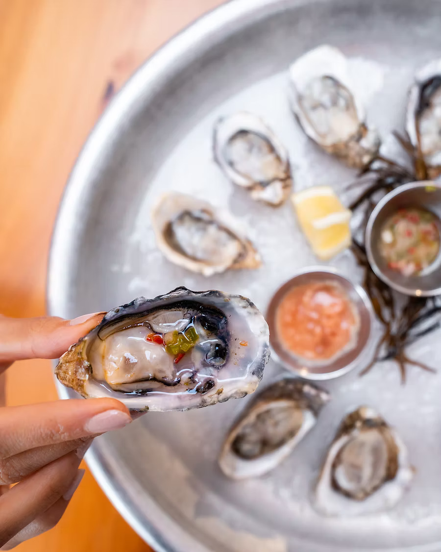 Close-up of a freshly shucked oyster