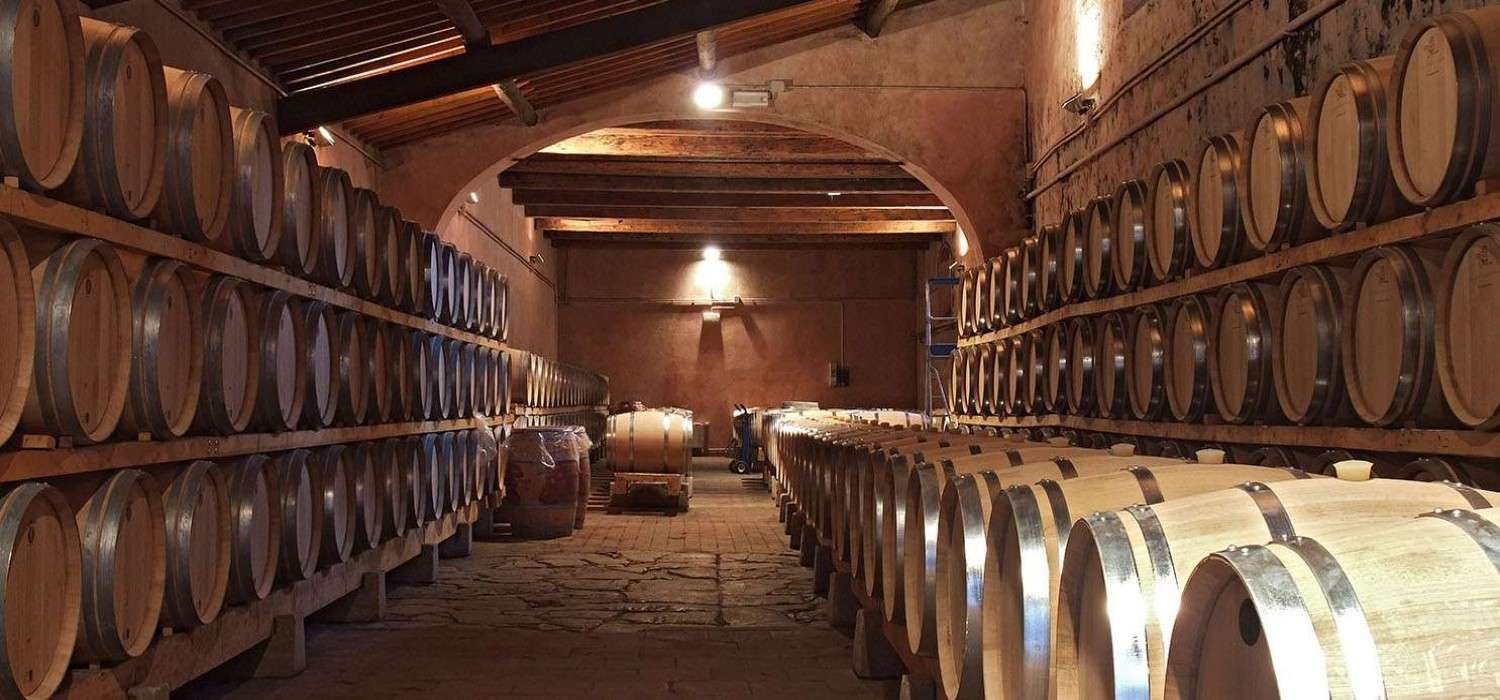 Explore Exciting Petaluma Attractions Near Our Hotel